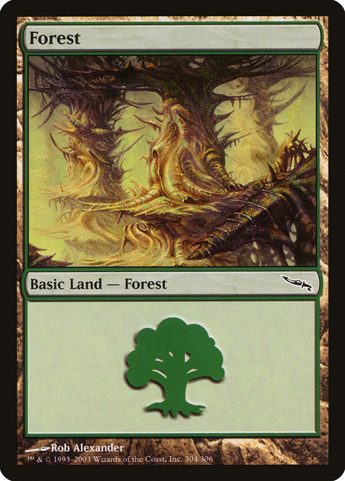 Forest (