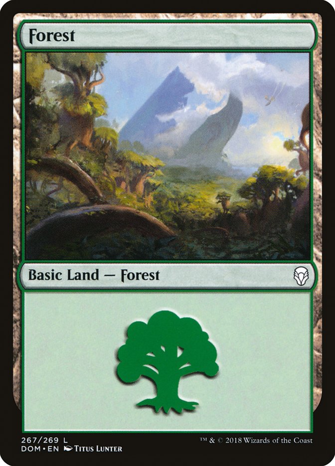 Forest (