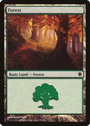 Forest (