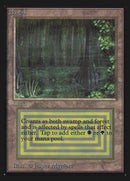 Bayou (CE) [Collectors’ Edition]
