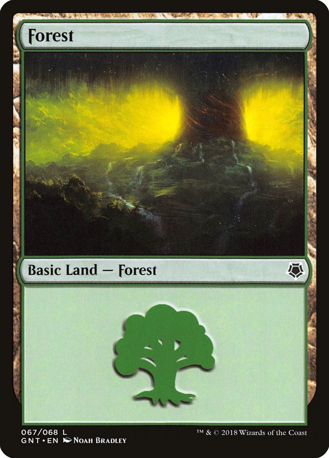 Forest (