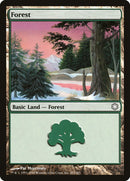 Forest (