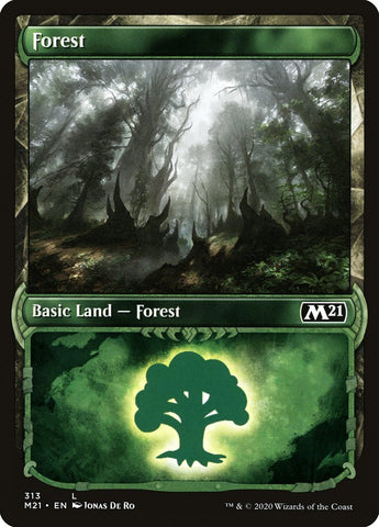Forest (#313) (Showcase) [Core Set 2021]