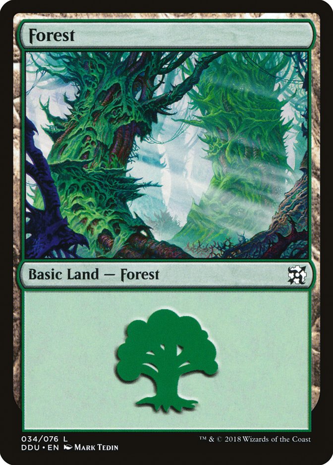 Forest (