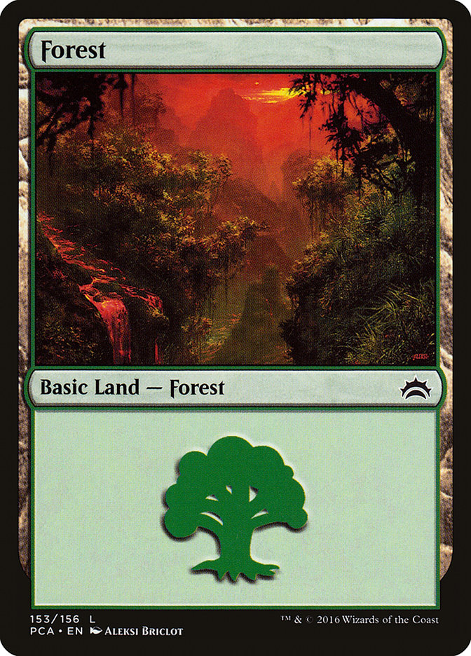 Forest (