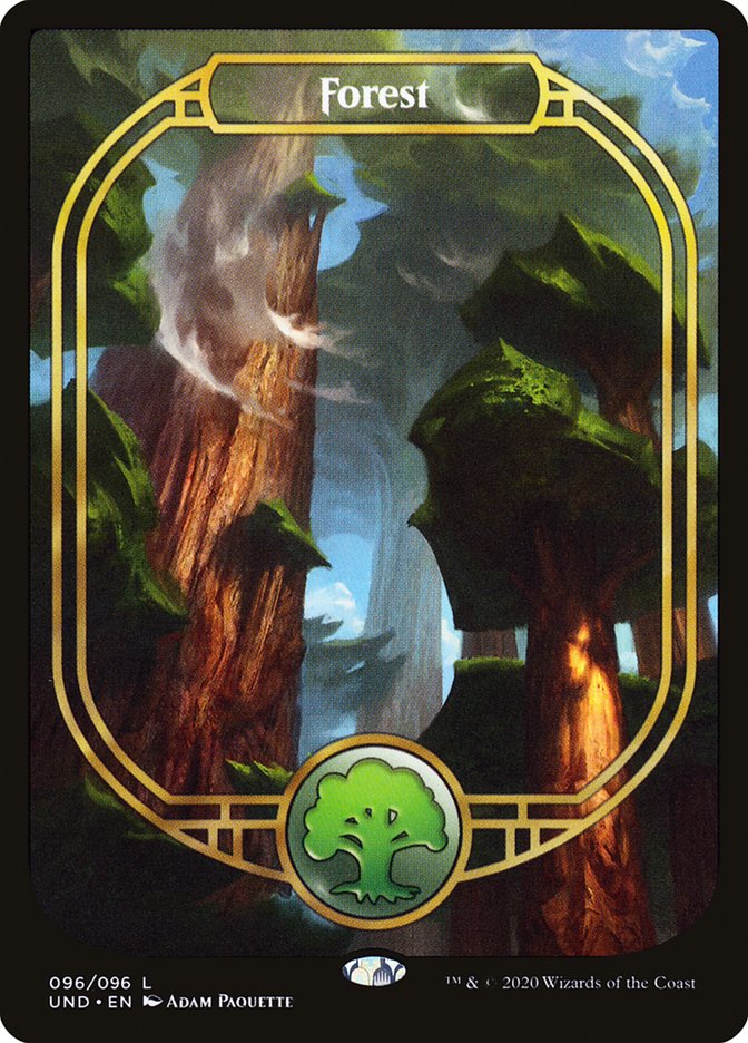 Forest (