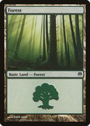 Forest (